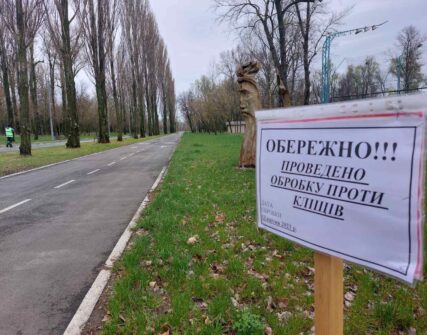 Київ: майже половина кліщів заражені хворобою Лайма – інфекціоніст