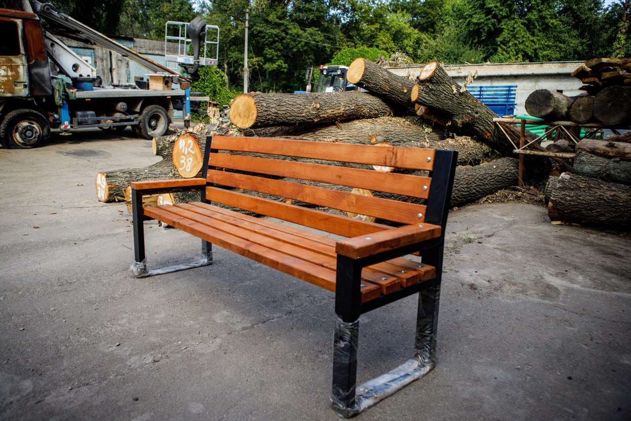 КМДА: Вирубані дерева в Голосієві використають для благоустрою, а не продадуть