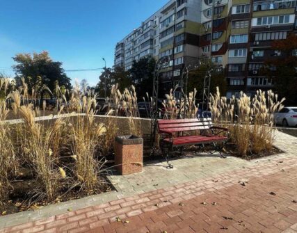 Київ активно озеленюють декоративними злаками: у чому перевага нового підходу