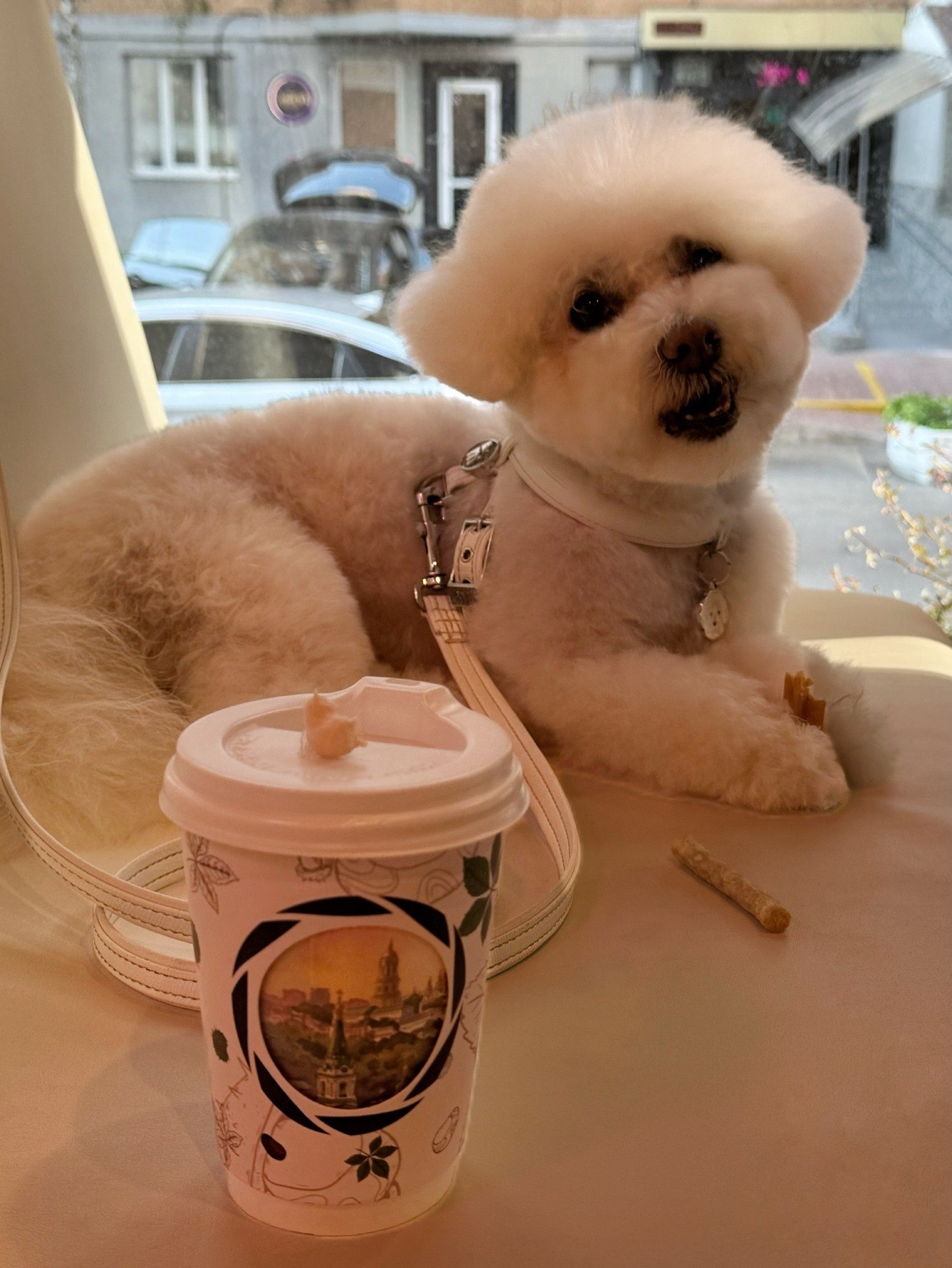 Мережа Sweet Coffee з трендовими стаканчиками відкрилася у Києві