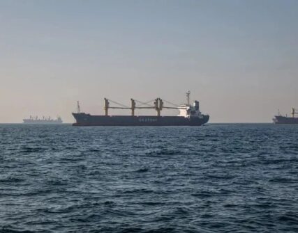 Зупинено роботу трьох ключових зернових терміналів у Новоросійську після атаки
