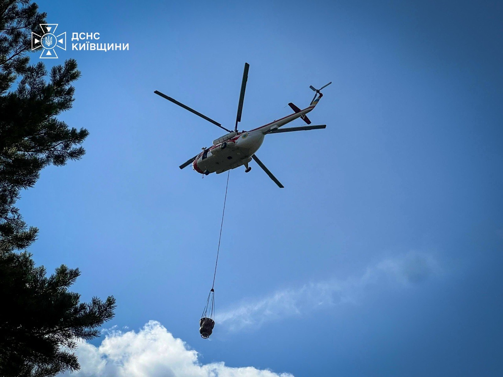 Лісова пожежа на Київщині: горить ліс біля села Богдани