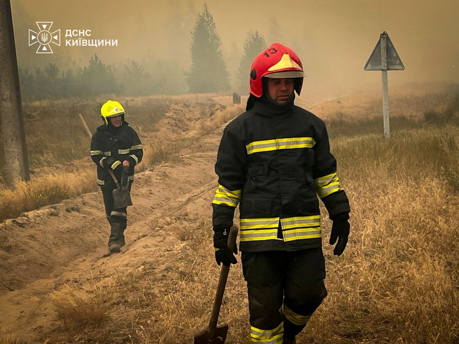 Лісова пожежа на Київщині: горить ліс біля села Богдани