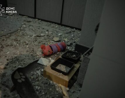Нічна атака на Київ 25 серпня: у Голосіївському районі пошкоджено багатоповерхівку