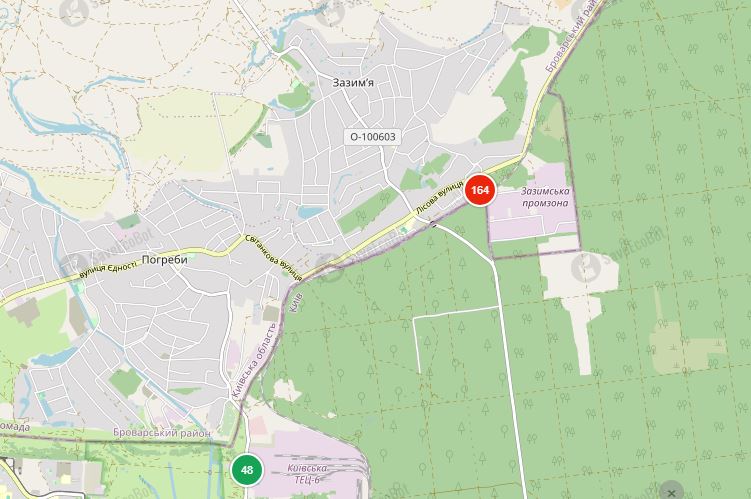 Дим з Броварського району накрив Київ: палають луки, забруднене повітря