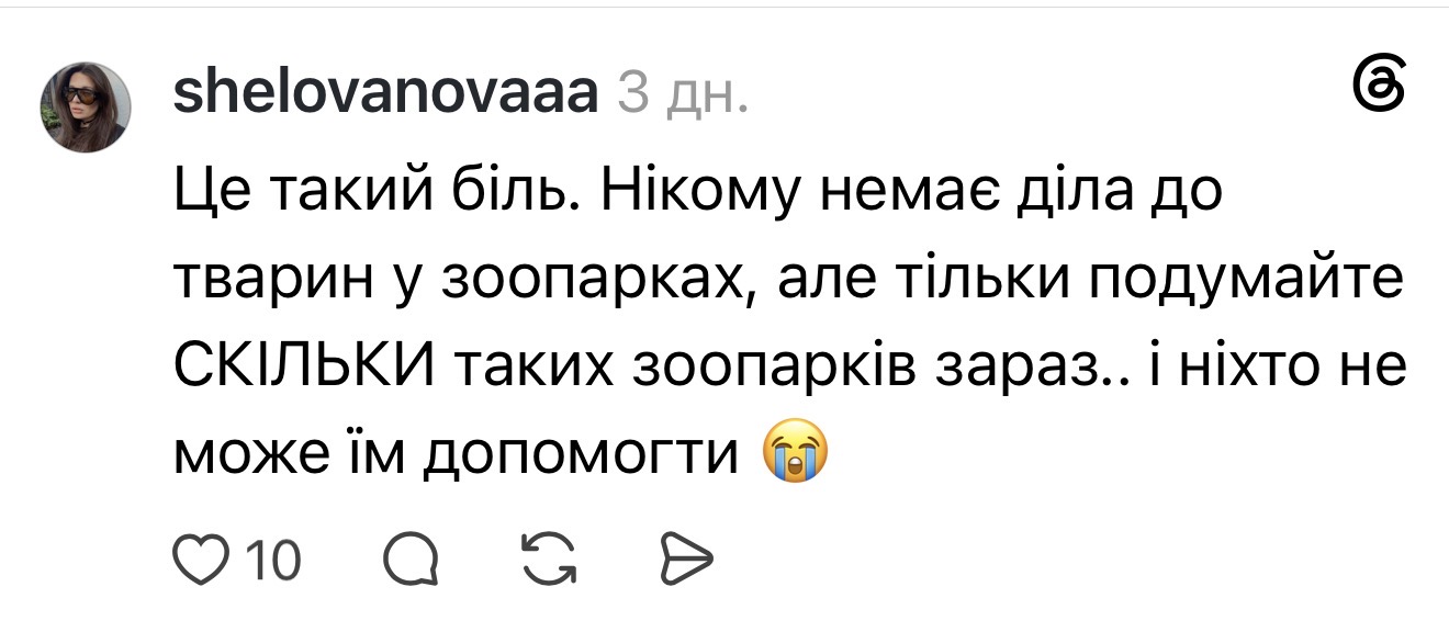 Кияни закликають евакуювати тварин з КиївЗоо під час обстрілів: що відповідають у зоопарку