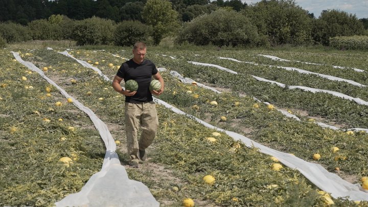 Ветеран з Чернігівщини вирощує 20 сортів екзотичних кавунів