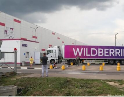 Wildberries захищає склади від дронів: закупівля сітки на мільйони рублів