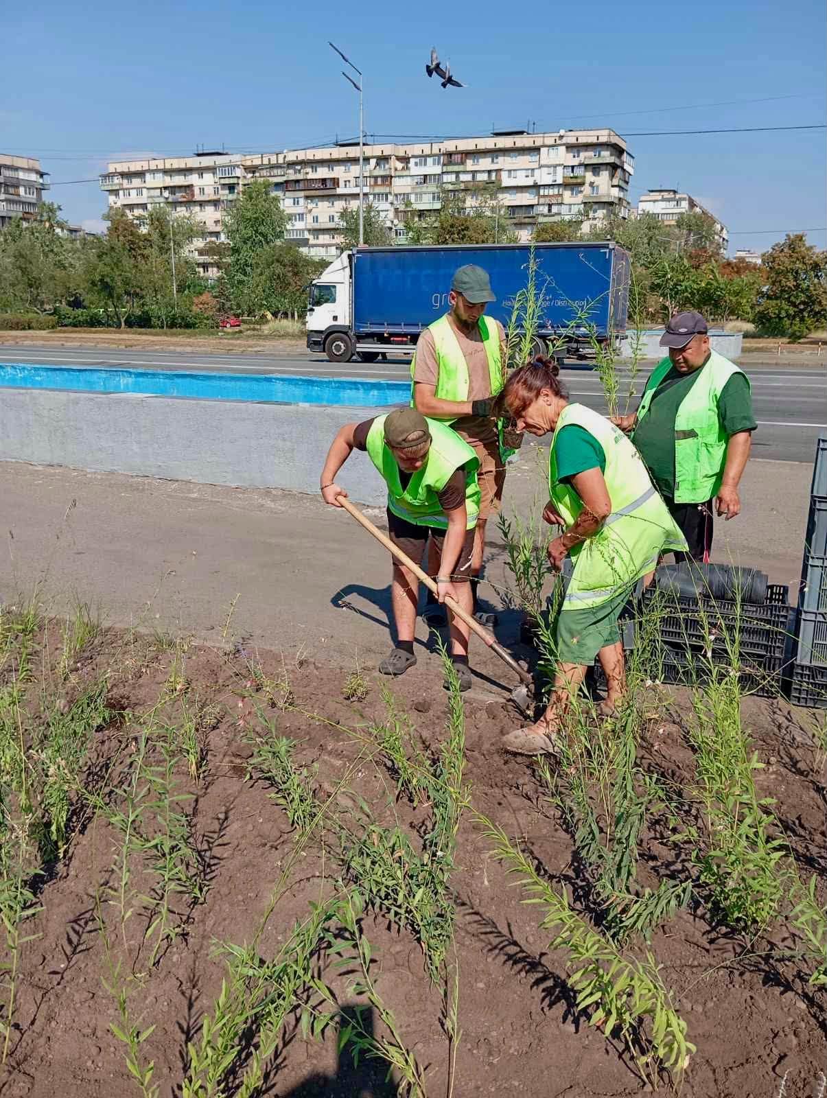 У Деснянському районі столиці з'явилася квіткова композиція «Нова хвиля»