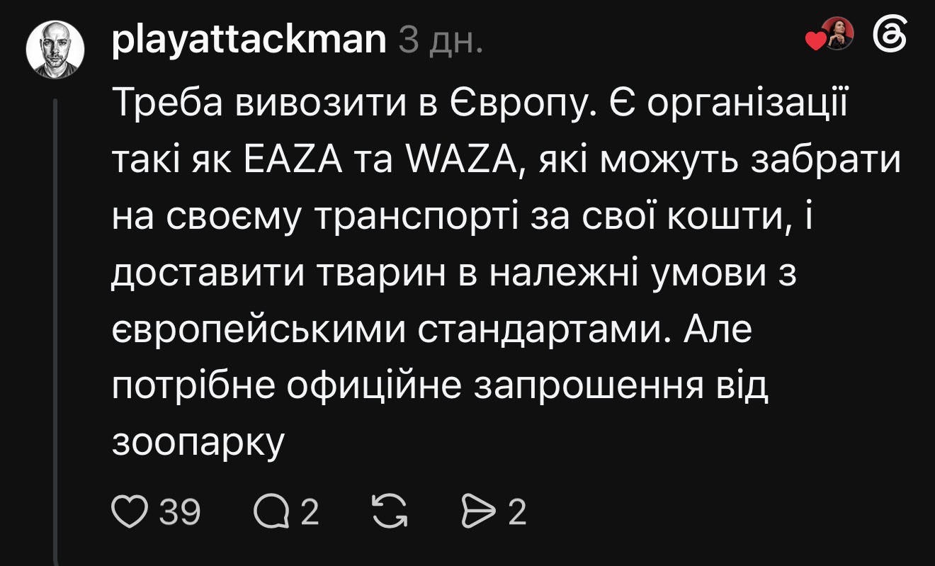 Кияни закликають евакуювати тварин з КиївЗоо під час обстрілів: що відповідають у зоопарку