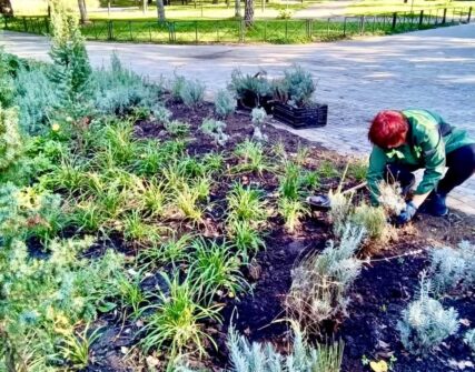 Куренівський парк у Києві оновили новими насадженнями та екостежкою