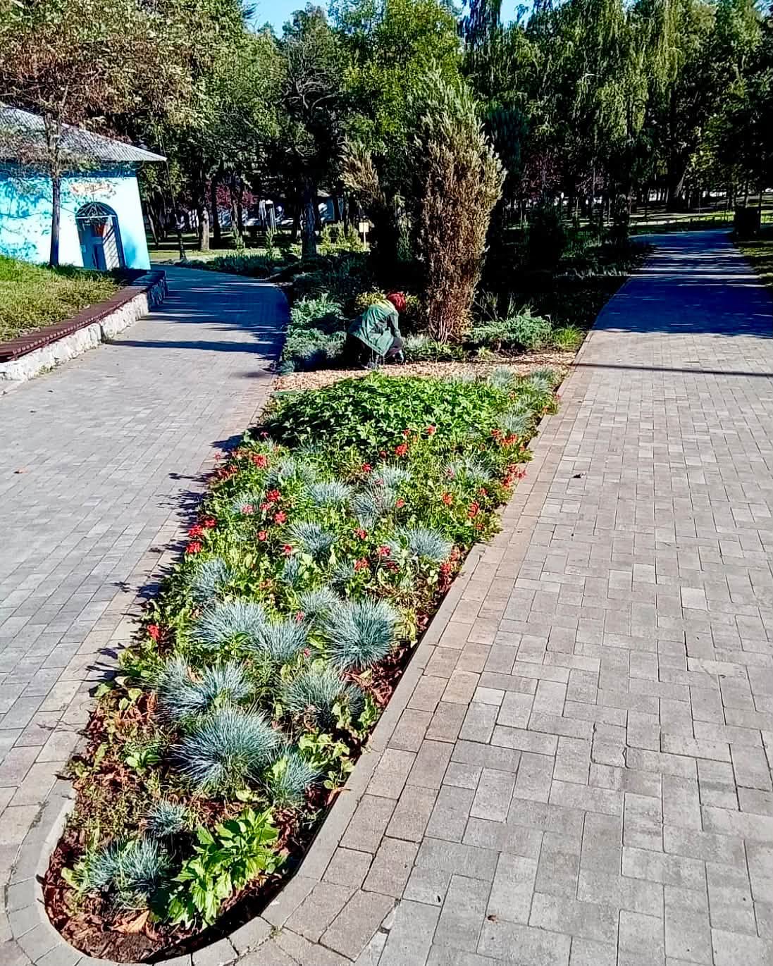 Куренівський парк у Києві оновили новими насадженнями та екостежкою