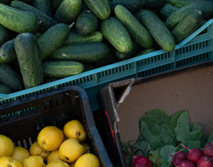 У Києві працюють продовольчі ярмарки: де купити свіжі продукти