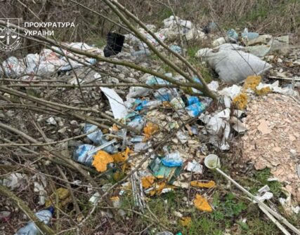 Суд зобов’язав КМДА ліквідувати два масштабні сміттєзвалища в Києві