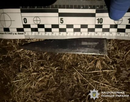 Жорстоке вбивство у Києві: співмешканець завдав жінці 20 ножових поранень